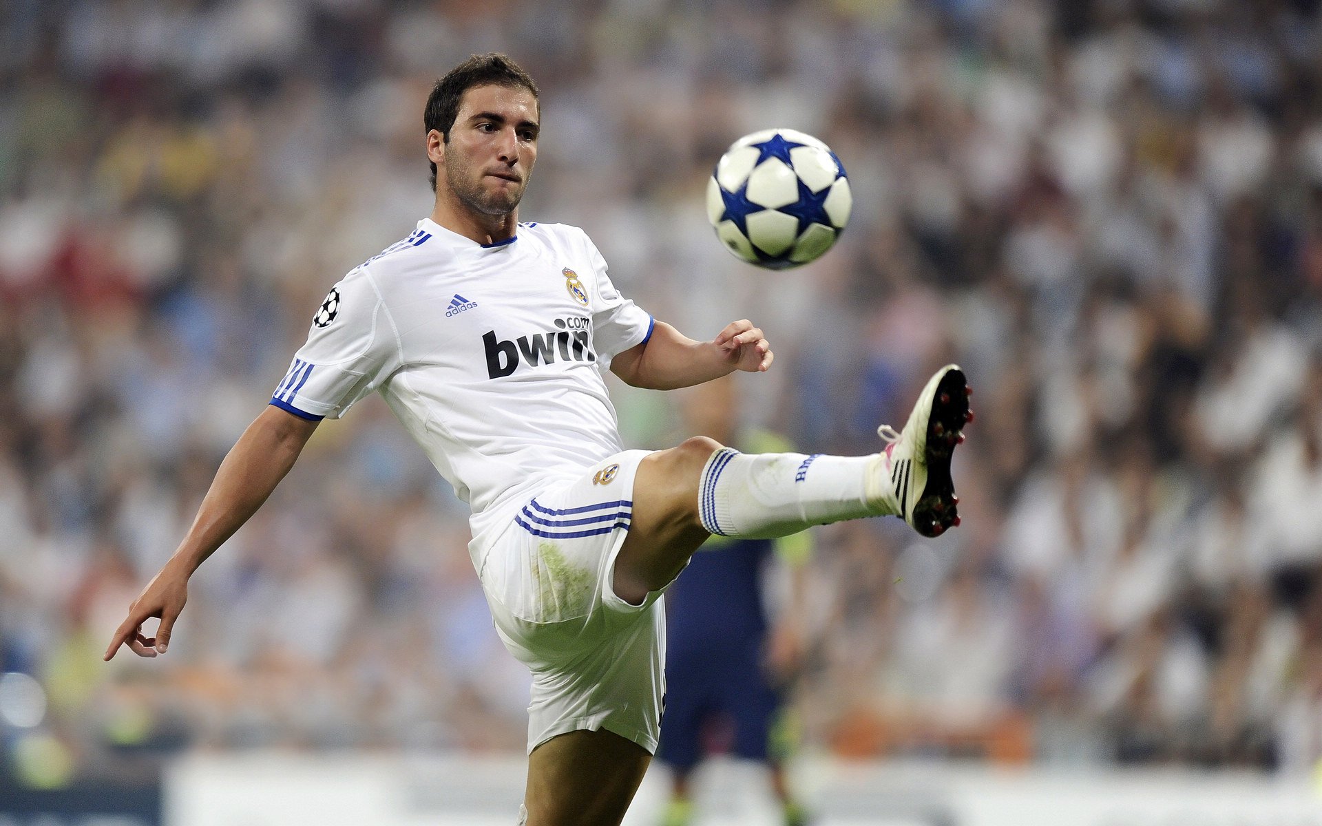 紧张刺激：王强最后一秒三分绝杀，场内欢呼！，王强最后9小时